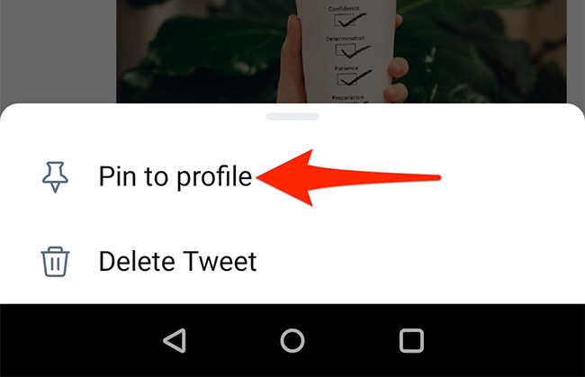 Seleccione un Pin para configurarlo en la aplicación móvil de Twitter.