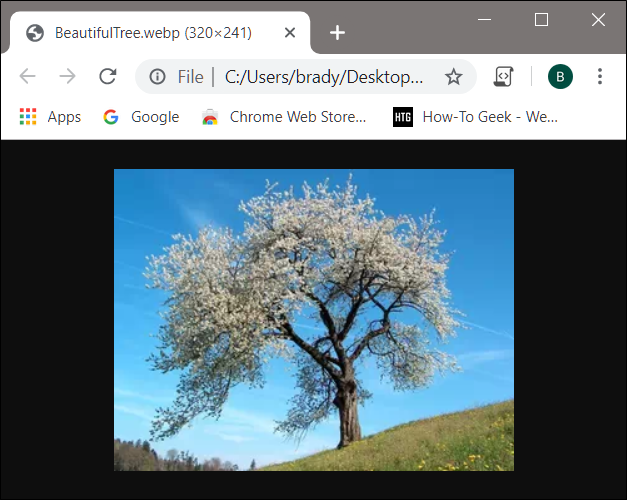 Las imágenes WebP se abren directamente dentro de Chrome cuando se hace clic