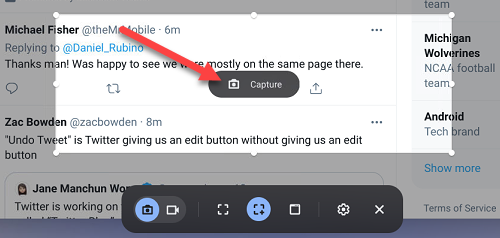Ejemplo de imagen parcial y botón de captura en pantalla