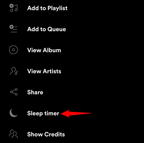 Toque Sleep Timer en el menú de tres puntos de la aplicación Spotify.