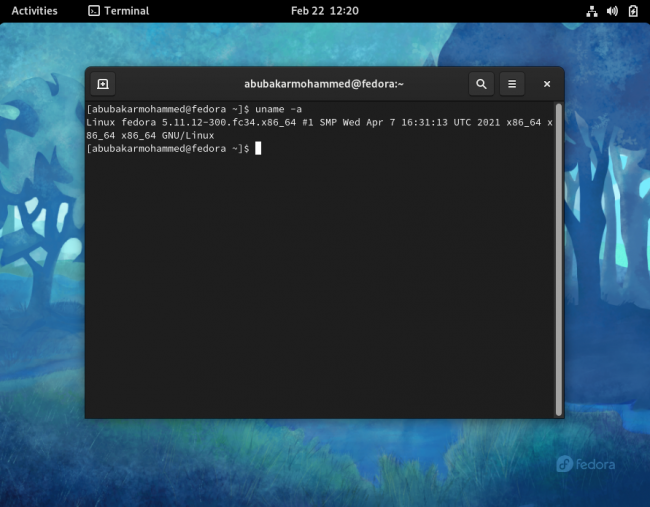 Versión del kernel del terminal Linux identificada por uname
