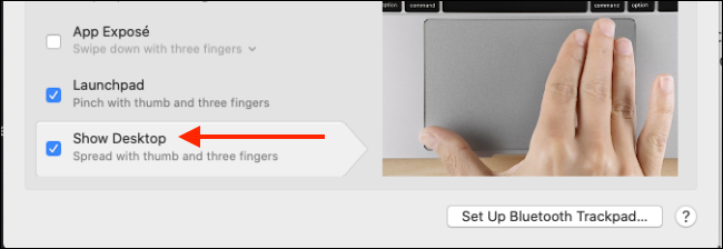 Asegúrese de que Mostrar gestos del panel táctil del escritorio esté habilitado