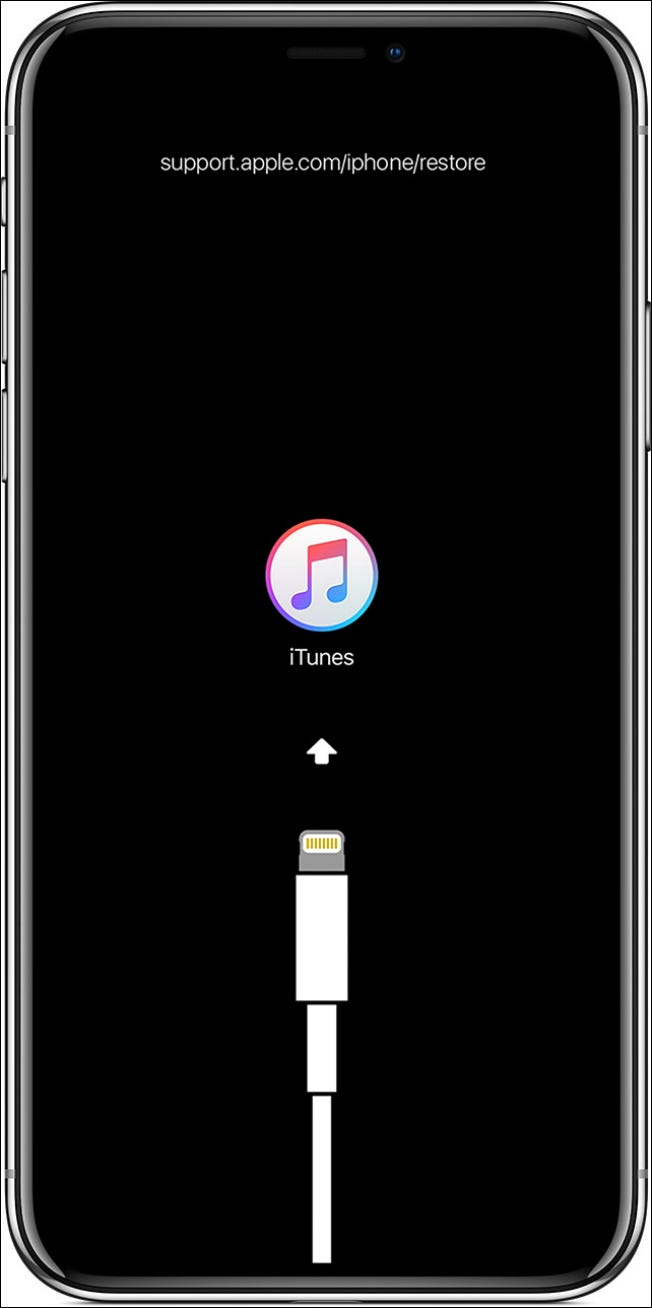 El iPhone solicita al usuario que conecte el cable de datos.