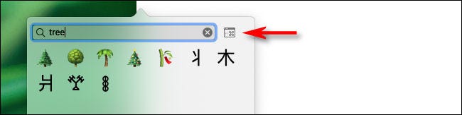 Presione el botón Visor de caracteres en la ventana de emoji de Mac.
